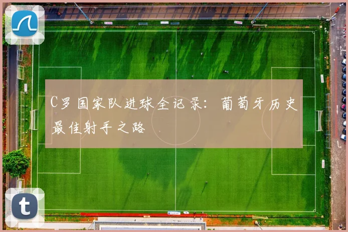 C罗国家队进球全记录:葡萄牙历史最佳射手之路