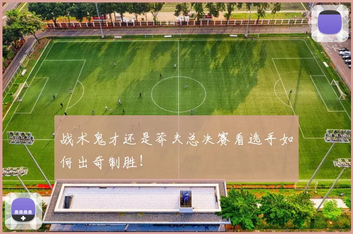 战术鬼才还是莽夫总决赛看选手如何出奇制胜!